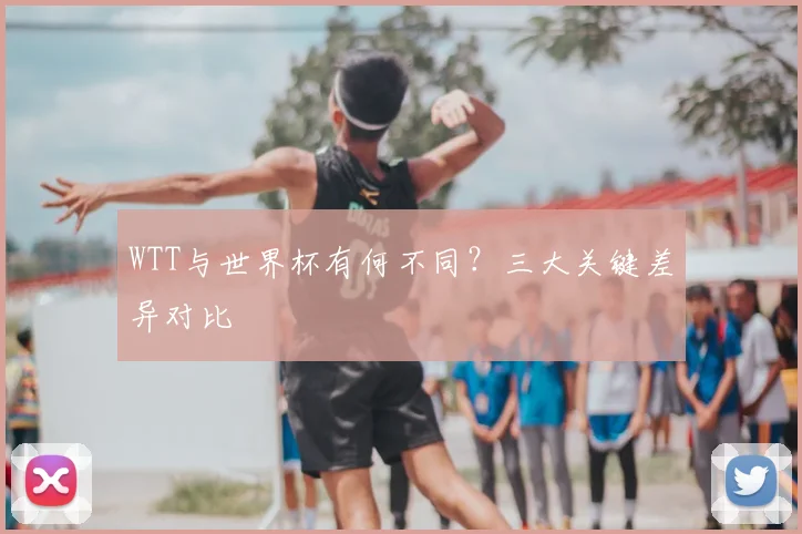 WTT与世界杯有何不同？三大关键差异对比