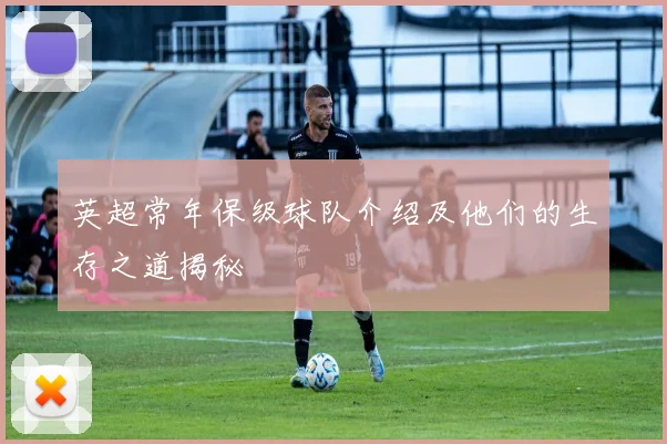 英超常年保级球队介绍及他们的生存之道揭秘