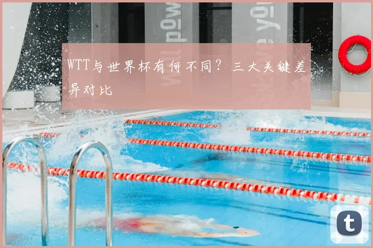 WTT与世界杯有何不同?三大关键差异对比