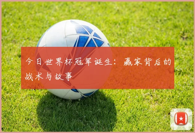 今日世界杯冠军诞生：赢家背后的战术与故事