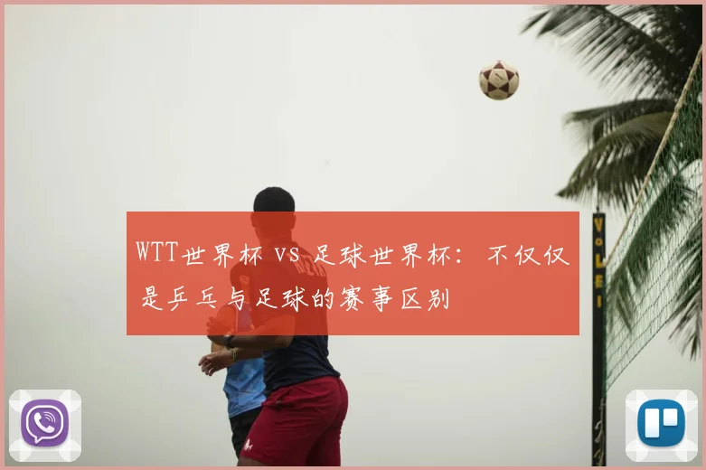 WTT世界杯 vs 足球世界杯：不仅仅是乒乓与足球的赛事区别