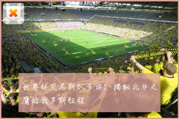 世界杯突尼斯队专访:揭秘北非之鹰的俄罗斯征程