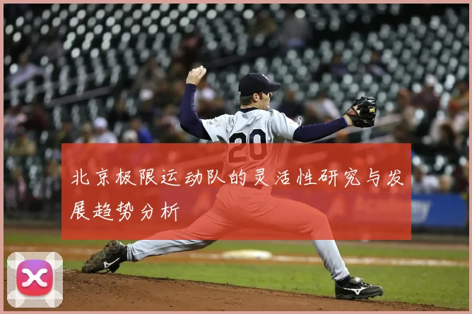 北京极限运动队的灵活性研究与发展趋势分析