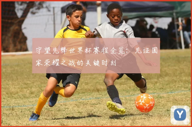 守望先锋世界杯赛程全览：见证国家荣耀之战的关键时刻