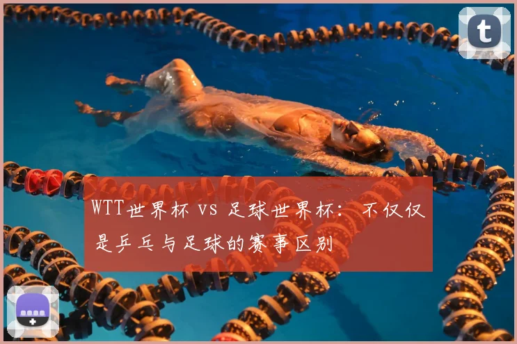 WTT世界杯 vs 足球世界杯：不仅仅是乒乓与足球的赛事区别