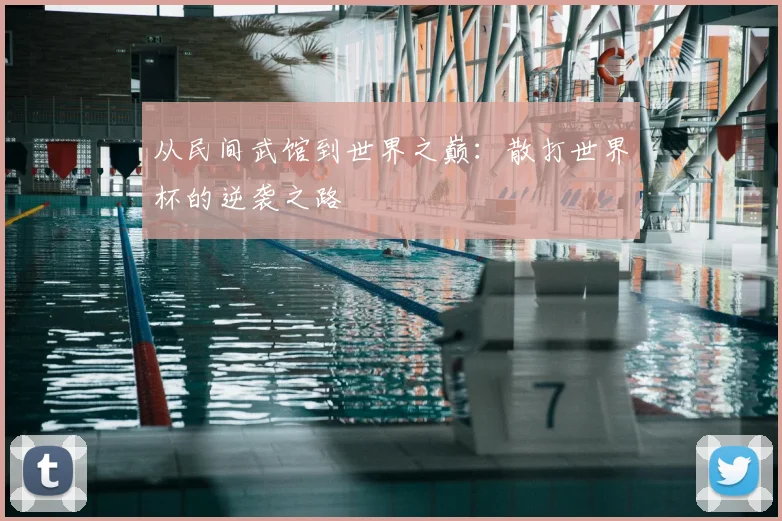 从民间武馆到世界之巅:散打世界杯的逆袭之路