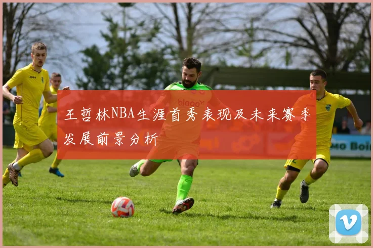 王哲林NBA生涯首秀表现及未来赛季发展前景分析