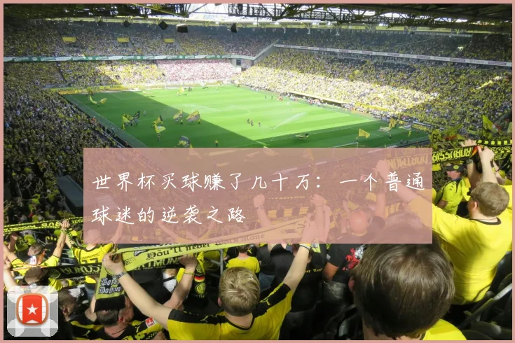 世界杯买球赚了几十万：一个普通球迷的逆袭之路
