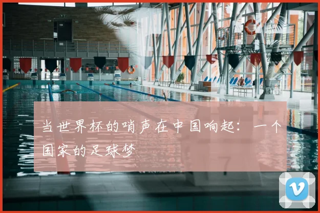 当世界杯的哨声在中国响起：一个国家的足球梦